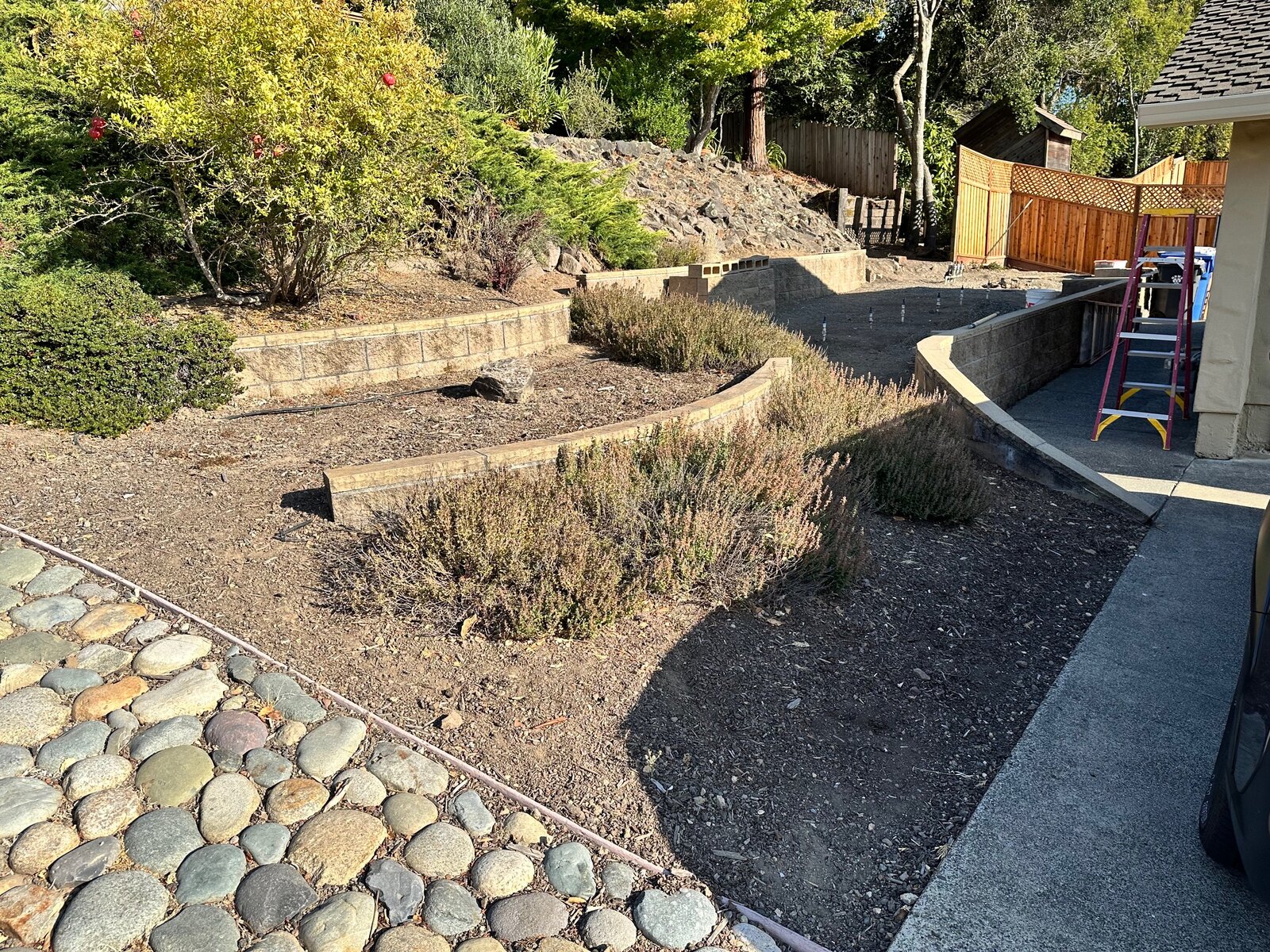 Side yard before — bare dirt with old retaining walls and sparse plantings